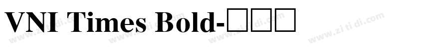 VNI Times Bold字体转换